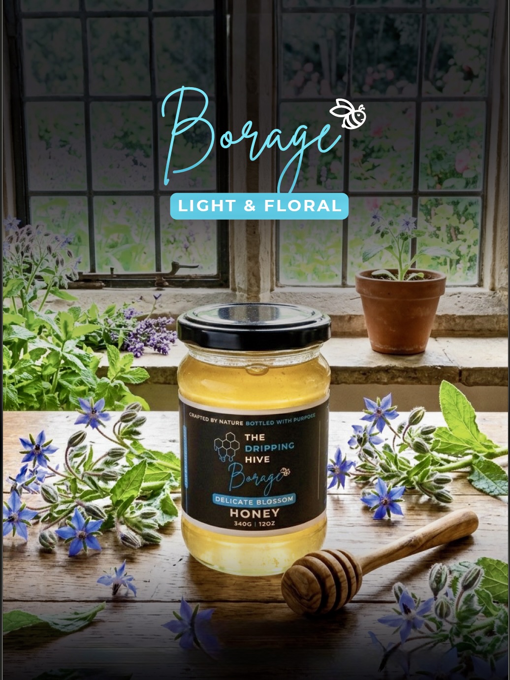 Borage honey jar on a windowsill among potted borage plants and a honey dipper