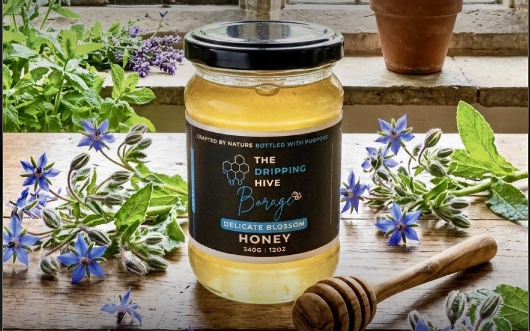 Borage honey jar on a windowsill among potted borage plants and a honey dipper